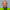 Frans Van Den Boomen 2023 Bpd Bouwfonds Gebiedsontwikkeling