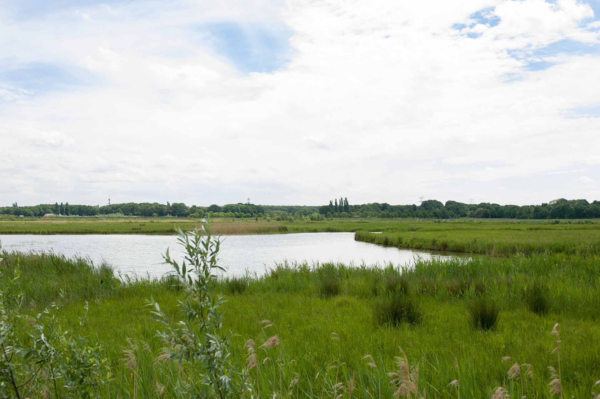 Landschappelijk ontwikkelen voor de woningbouwopgave