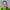 Marco Bakx 2023 Bpd Bouwfonds Gebiedsontwikkeling